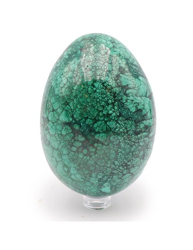 Oeuf en Malachite AA - 3654G la colonne vertébrale